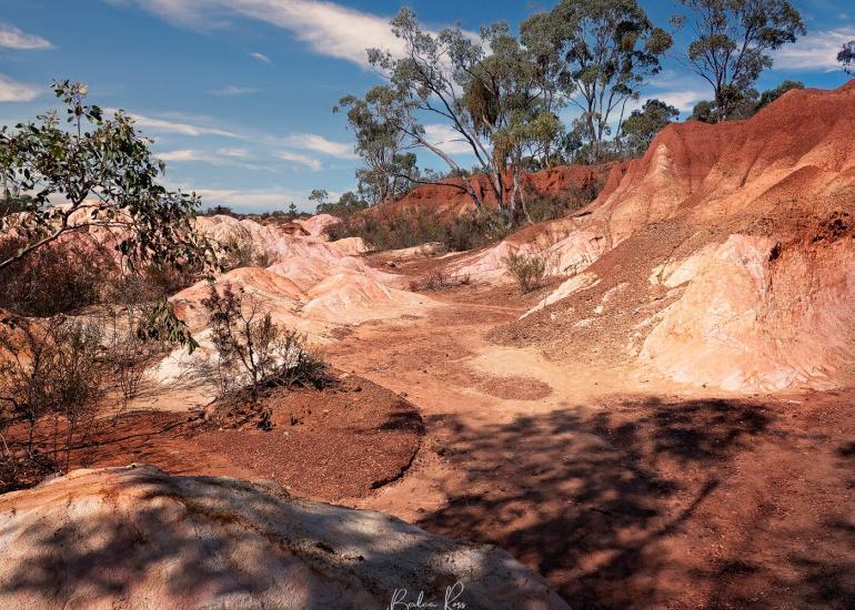 Pink Cliffs at Heatcote