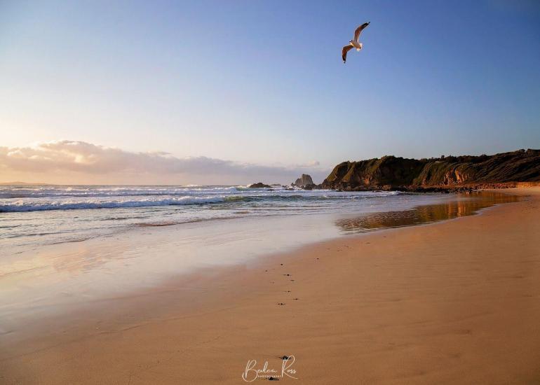 Narooma - a little slice of paradise