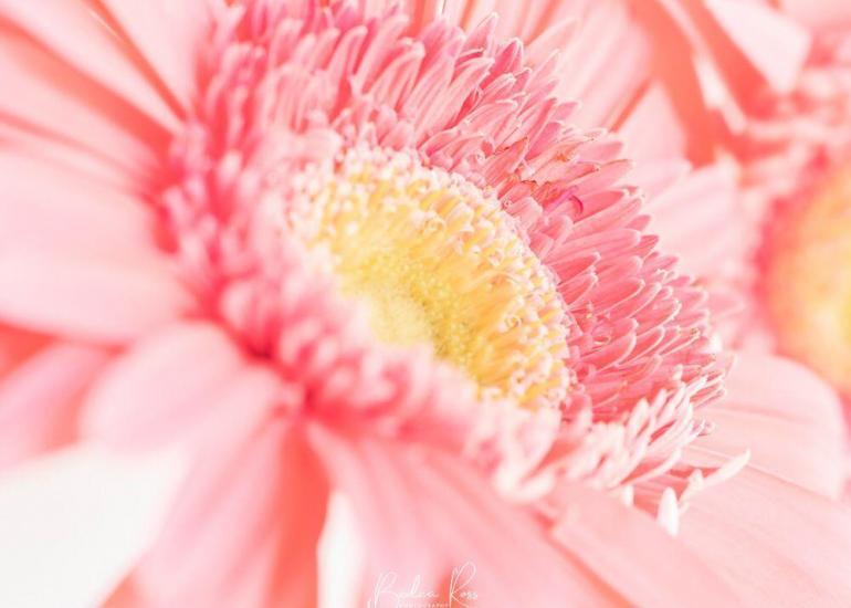 abstract photography