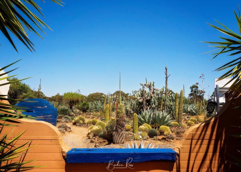 cactus country strathmerton