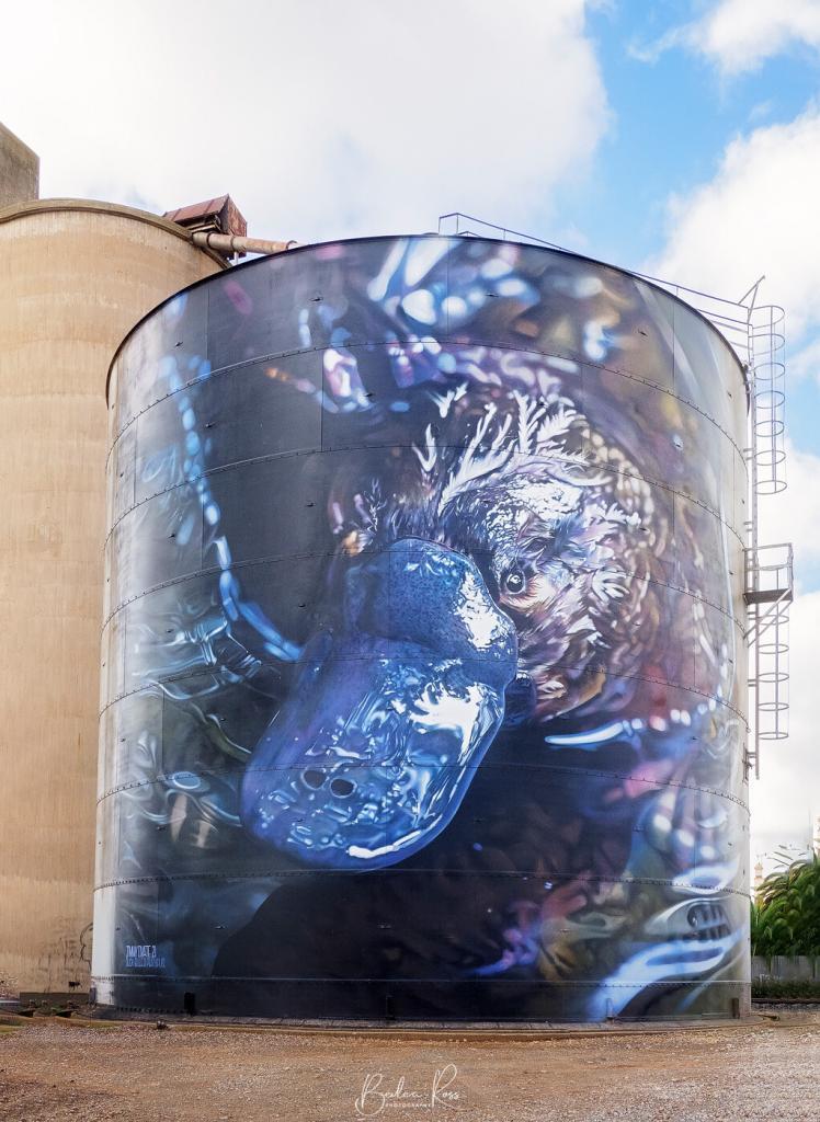 Rochester Silo2 by Dvate painted silos
