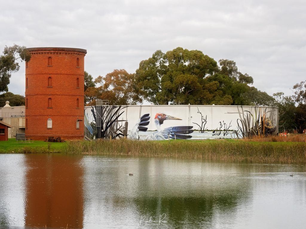 painted silos - kyabram water tank