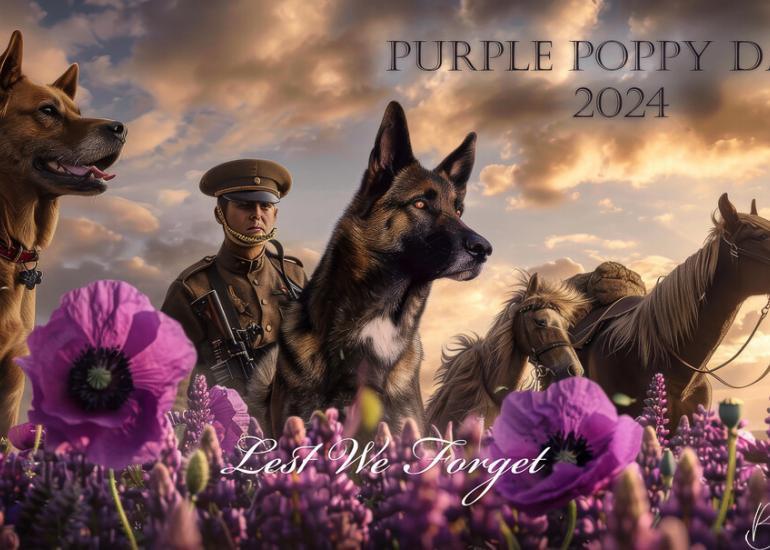 purple poppy day