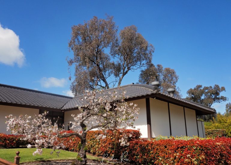cowra